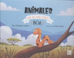 Animales que no dan miedo: Boa