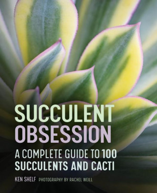 Succulent Obsession: A Complete Guide