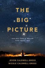 Big Picture, The