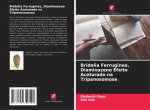 Bridelia Ferruginea, Diaminazeno Efeito Aceturado na Tripanosomose