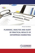 PLANNING, ANALYSIS AND AUDIT OF PRACTICAL RESULTS OF ENTERPRISES MARKETING
