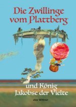 Die Zwillinge vom Plattberg
