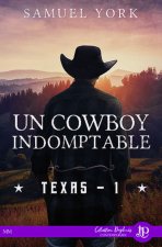 Un cowboy indomptable