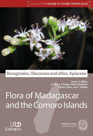 Boraginales, Olacaceae and allies, Apiaceae - Flore de Madagascar et des Comores