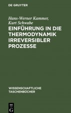 Einfuhrung in die Thermodynamik irreversibler Prozesse
