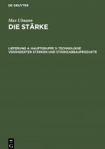 Hauptgruppe 3