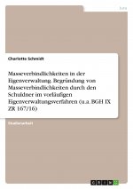 Masseverbindlichkeiten in der Eigenverwaltung. Begründung von Masseverbindlichkeiten durch den Schuldner im vorläufigen Eigenverwaltungsverfahren (u.a