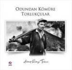Odundan Kömüre Torlukcular