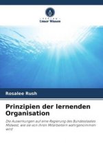 Prinzipien der lernenden Organisation