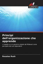 Principi dell'organizzazione che apprende