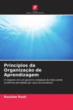 Princípios da Organizaç?o de Aprendizagem