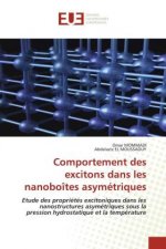 Comportement des excitons dans les nanoboites asymetriques