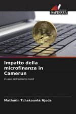 Impatto della microfinanza in Camerun