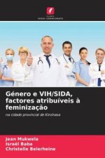 Género e VIH/SIDA, factores atribuíveis ? feminizaç?o
