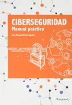 Ciberseguridad. Manual práctico