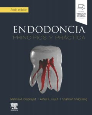 Endodoncia (6ª ed.)