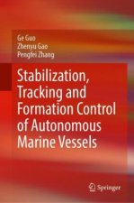 Stabilization, Tracking and Formation Control of Autonomous Marine Vessels