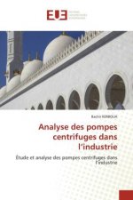 Analyse des pompes centrifuges dans l'industrie