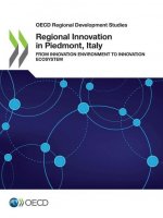 Regional innovation in Piedmont, Italy