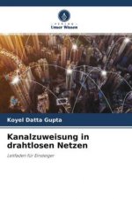 Kanalzuweisung in drahtlosen Netzen