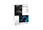 Seiichi Furuya First Trip to Bologna 1978 / Last Trip to Venice 1985 /franCais/anglais