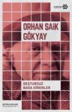 Destursuz Baga Girenler
