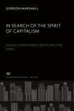 In Search of the Spirit of Capitalism. an Essay on Max Weber?S Protestant Ethic Thesis
