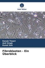 Fibroblasten - Ein Überblick