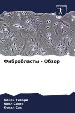 Fibroblasty - Obzor