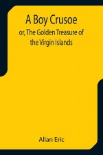 Boy Crusoe; or, The Golden Treasure of the Virgin Islands