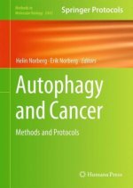Autophagy and Cancer