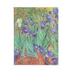 VAN GOGHS IRISES