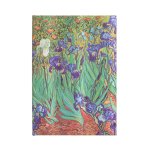 VAN GOGHS IRISES