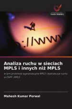 Analiza ruchu w sieciach MPLS i innych ni? MPLS