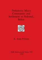 Prehistoric Maya Community and Settlement at Nohmul, Belize