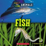 Fast and Slow: Fish (Wild World)
