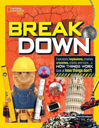 Break Down: Explosions, Implosions, Crashes, Crunches, Cracks, and More ... a How Things Work Look at How Things Don't