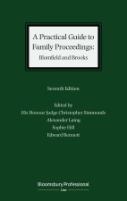 A Practical Guide to Family Proceedings: Blomfield and Brooks