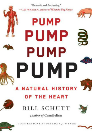 Pump: A Natural History of the Heart