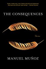 The Consequences: Stories