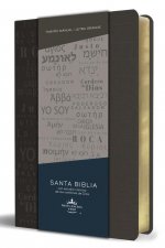 Biblia Rvr 1960 Letra Grande Tama?o Manual, Simil Piel Gris Con Nombres de Dios / Spanish Bible Rvr 1960 Handy Size Large Print Leathersoft Grey, Name