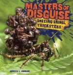 Masters of Disguise