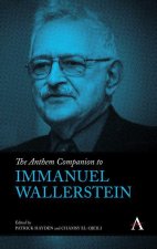 Anthem Companion to Immanuel Wallerstein