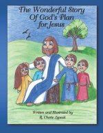 Wonderful Story of God's Plan for Jesus