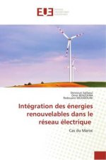 Integration des energies renouvelables dans le reseau electrique