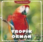 Tropik Orman - Hayvanlar Dünyasi