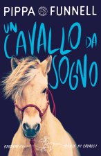cavallo da sogno. Storie di cavalli