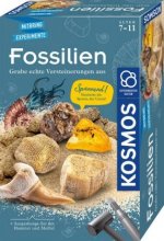 Fossilien (Experimentierkasten)