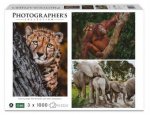 Wildtier-Familien 3x1000 Teile (Puzzle)
