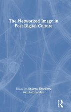 Networked Image in Post-Digital Culture